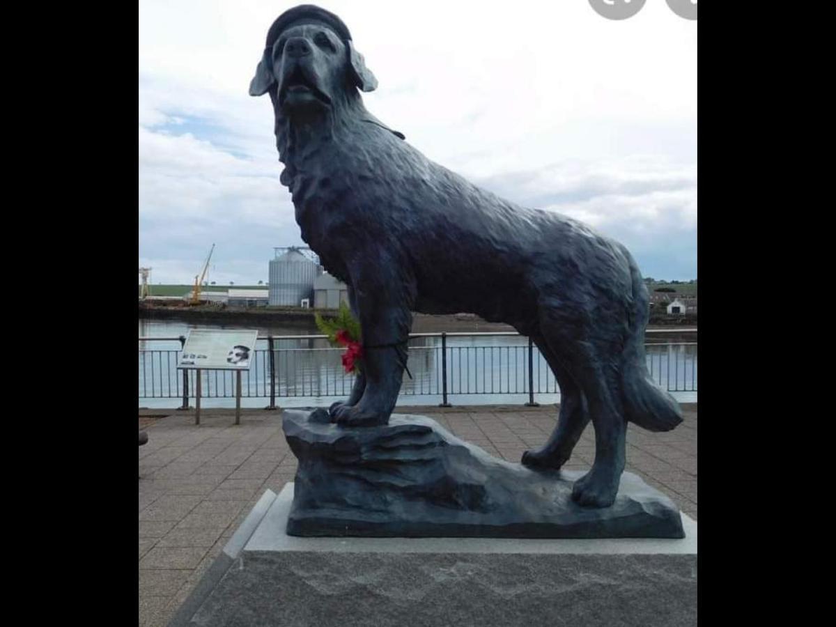 فيلا The Thin Seagull 4 Beacon Terrace Ferryden المظهر الخارجي الصورة